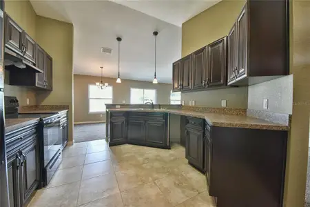 New construction Single-Family house 12472 Sw 85Th Place, Dunnellon, FL 34432 - photo 10 10