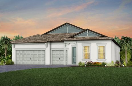 New construction Single-Family house Merlot, Fallon Pass, Wesley Chapel, FL 33541 - photo