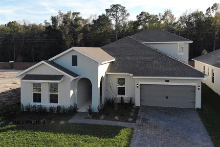 New construction Single-Family house 7465 Sea Manatee Street, Parrish, FL 34219 - photo 0