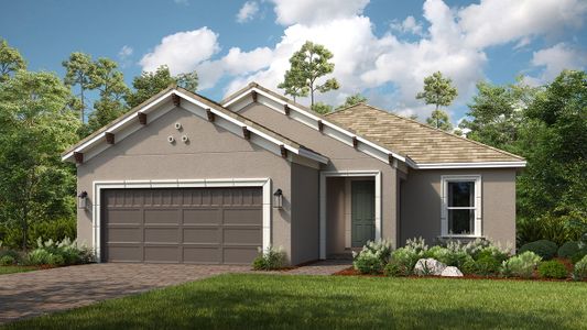 New construction Single-Family house 29620 Toricelli Road, Wesley Chapel, FL 33543 Farnese- photo 0 0