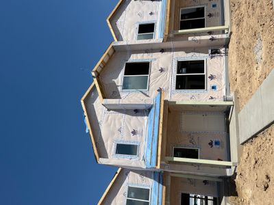 New construction Single-Family house 3741 Sequoia Ct, Evans, CO 80620 Westcliffe- photo 24 24