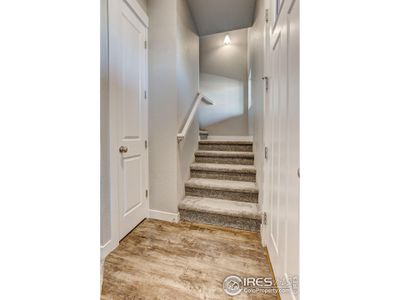 New construction Townhouse house 3428 Grayling Dr, Loveland, CO 80538 - photo 13 13