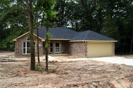New construction Single-Family house 188 Armada Loop, Payne Springs, TX 75156 - photo 23 23