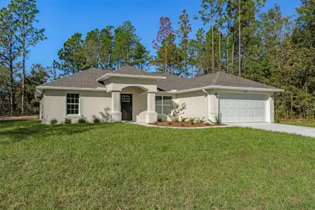 New construction Single-Family house 14477 Chimney Swift Road, Brooksville, FL 34614 - photo 0