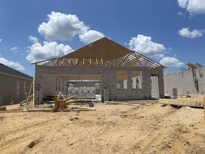 New construction Single-Family house 900 Pointe Emerson Boulevard, Apopka, FL 32703 Capistrano II - Eco Series- photo