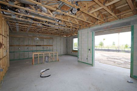 New construction Single-Family house 5238 Currant Street, Lakeland, FL 33811 Marina- photo 55 55