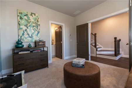 Ellington by The Providence Group in Suwanee - photo 24 24