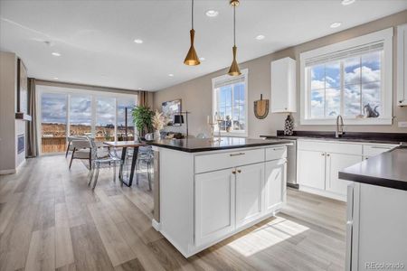New construction Single-Family house 1171 Nathan Place, Lafayette, CO 80026 - photo 6 6