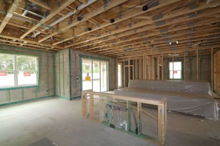 New construction Single-Family house 12114 Hilltop Farms Drive, Dade City, FL 33525 Alenza- photo 64 64
