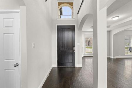 Entryway featuring dark hardwood / wood-style floors and plenty of natural light