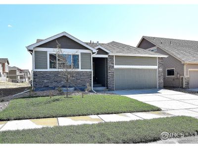 New construction Single-Family house 2278 Graceful St, Windsor, CO 80550 The Delaware- photo 0 0