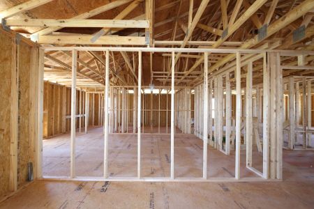 New construction Single-Family house 12383 Hilltop Farms Drive, Dade City, FL 33525 Malibu- photo 14 14