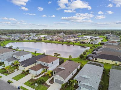 New construction Single-Family house 10417 Crooked Creek Court, Parrish, FL 34219 - photo 43 43