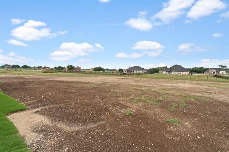 New construction Single-Family house 421 Solo Ridge, Waxahachie, TX 75167 - photo 34 34