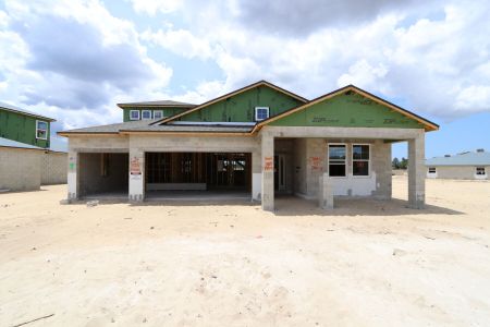 New construction Single-Family house 2466 Clary Sage Drive, Spring Hill, FL 34609 Corina  III Bonus- photo 59 59