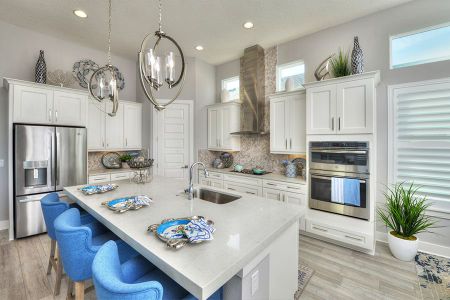 Bexley by ICI Homes in Land O' Lakes - photo 42 42