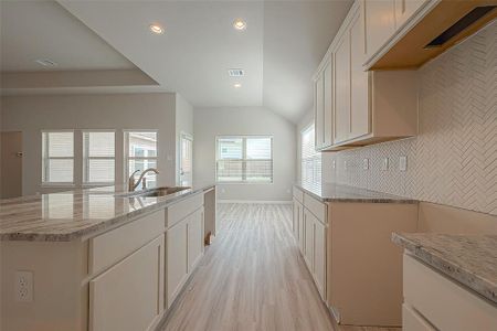 New construction Single-Family house 10630 Amador Peak Drive, Rosharon, TX 77583 2349- photo 14 14