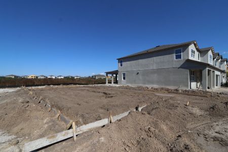 New construction Single-Family house 2522 Sunny Pebble Loop, Zephyrhills, FL 33540 Mira Lago- photo 6 6