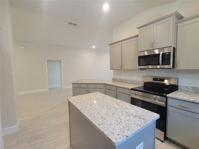 New construction Single-Family house 36089 Welsh Glade Road, Dade City, FL 33525 - photo 6 6