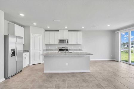 New construction Single-Family house 7060 Feather River Place, Parrish, FL 34219 Hibiscus- photo 14 14