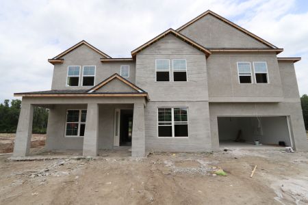 New construction Single-Family house 10634 New Morning Drive, Tampa, FL 33647 Grandshore II- photo 34 34