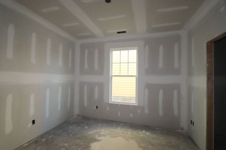 New construction Single-Family house 3005 June Lake Station, Apex, NC 27502 Viola - Premier Collection- photo 26