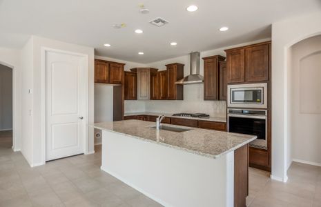 New construction Single-Family house 21303 N 269Th Avenue, Buckeye, AZ 85396 Sanctuary- photo
