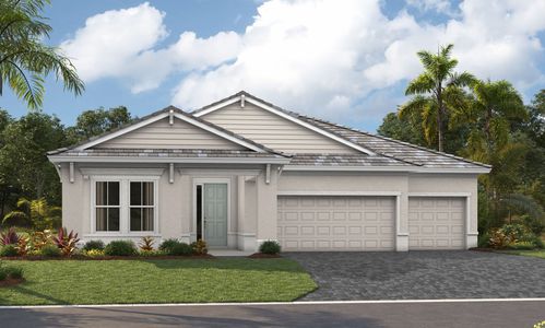 New construction Single-Family house 9231 Isabella Circle, Parrish, FL 34219 - photo 0