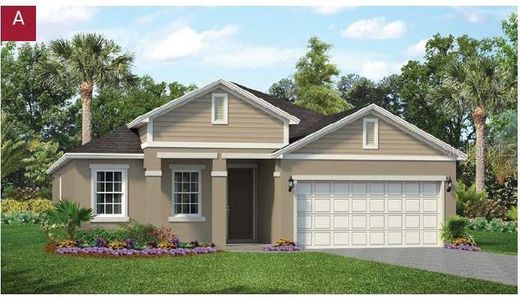 New construction Single-Family house 2421 Sirena Lane, Mount Dora, FL 32757 - photo