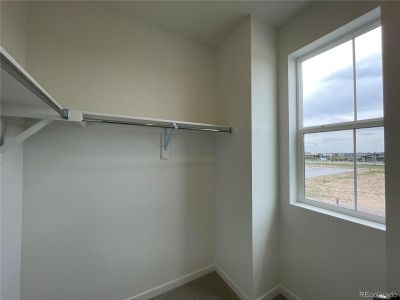 New construction Townhouse house 5516 Second Avenue, Timnath, CO 80547 302- photo 6 6