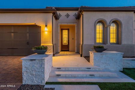 New construction Single-Family house 261 E Bracciano Avenue, San Tan Valley, AZ 85140 - photo 63 63