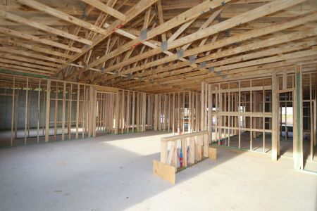 New construction Single-Family house 2941 Marine Grass Drive, Wimauma, FL 33598 Barcello- photo 21 21