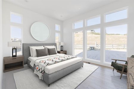 Vector at the Canyons by Infinity Properties in Castle Pines - photo 14 14