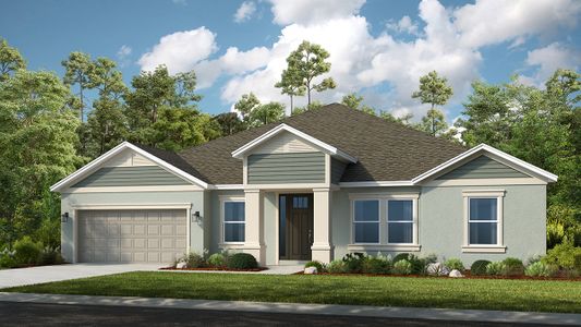 New construction Single-Family house 33314 Castaway Loop, Wesley Chapel, FL 33543 - photo 40 40