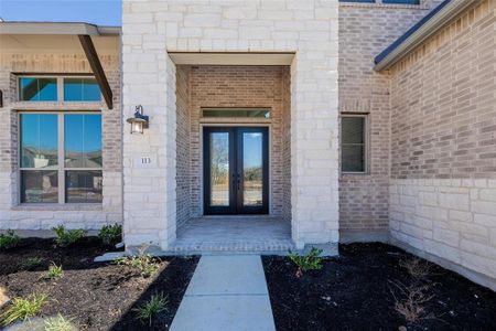New construction Single-Family house 113 Old Eagle Rd, Georgetown, TX 78633 The Asher IX- photo 20 20