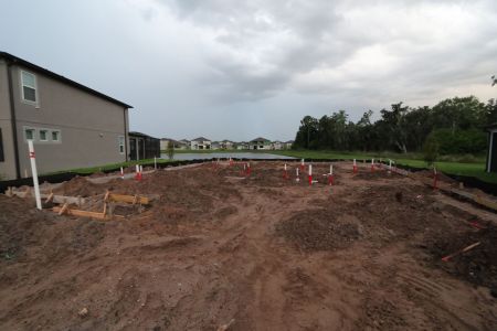 New construction Single-Family house 4908 Eagle Rock Drive, Wimauma, FL 33598 Barcello- photo 4 4