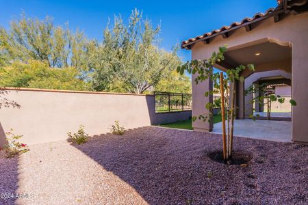 New construction Single-Family house 8330 E Club Village Drive, Gold Canyon, AZ 85118 - photo 54 54