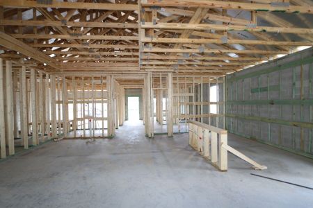 New construction Single-Family house 12032 Hilltop Farms Drive, Dade City, FL 33525 Marque- photo 14 14
