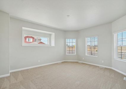 New construction Single-Family house 881 Sawdust , Brighton, CO 80601 - photo 14 14