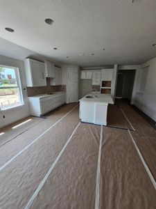 New construction Single-Family house 1705 Garrett Oaks Lane, Georgetown, TX 78633 San Saba F- photo 4 4