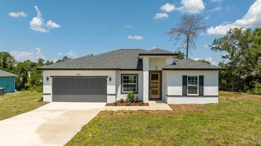 New construction Single-Family house 2391 Sw 147Th Place Road, Ocala, FL 34473 - photo