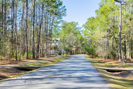The Preserve at Pennys Creek by Brightwater Homes in Johns Island - photo 6 6