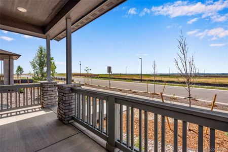 New construction Single-Family house 24851 E 33Rd Drive, Aurora, CO 80019 Plan 3201- photo 3 3