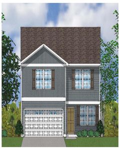New construction Single-Family house 20 Roseshell Way, Louisburg, NC 27549 - photo 0