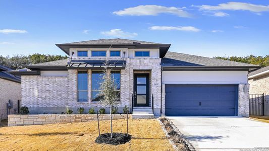 New construction Single-Family house 24229 Downhill Lie, San Antonio, TX 78261 Design 2916W- photo 9 9