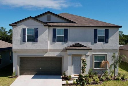 New construction Single-Family house 11711 Lavender Loop, Spring Hill, FL 34609 Providence II- photo 0 0