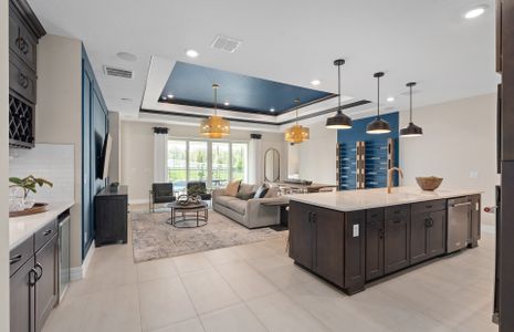 New construction Single-Family house Simmons Ranch Court, Riverview, FL 33578 - photo 15 15