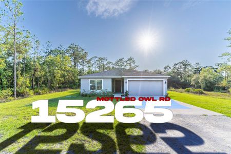 New construction Single-Family house 15265 Mottled Owl Road, Brooksville, FL 34614 - photo 1 1