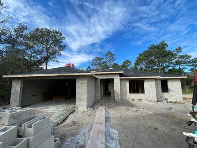 New construction Single-Family house 41639 Poinciana Street, Eustis, FL 32736 - photo 2 2