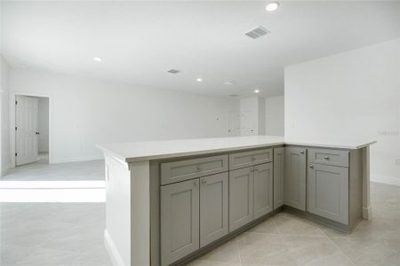 New construction Single-Family house 55 Peterlee Court, Kissimmee, FL 34758 - photo 20 20